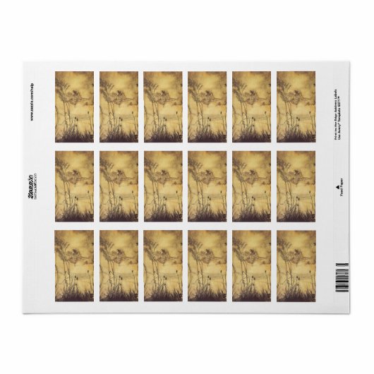  Fairy Tale, Fairy's Tightrope van Rackham Etiket (Full Sheet)