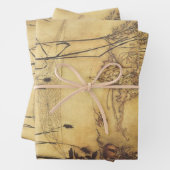  Fairy Tale, Fairy's Tightrope van Rackham Inpakpapier Vel (In situ)