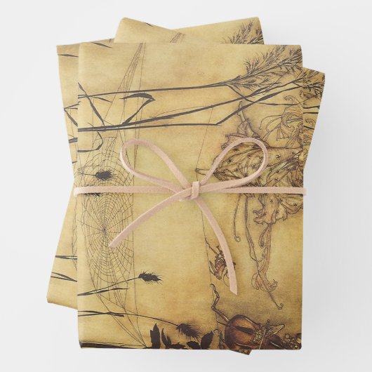  Fairy Tale, Fairy's Tightrope van Rackham Inpakpapier Vel (In situ)