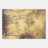  Fairy Tale, Fairy's Tightrope van Rackham Inpakpapier Vel (Voorkant)