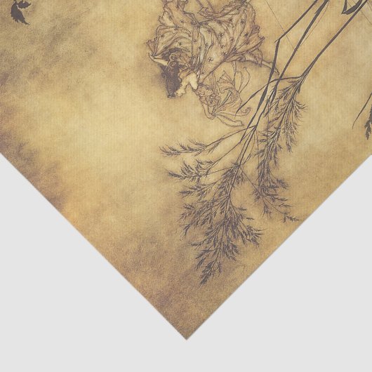  Fairy Tale, Fairy's Tightrope van Rackham Tissuepapier (Detail)