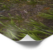 Fairy Tale Prince Perfect Poster (Hoek)