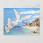 Fairy Terns Briefkaart (Voorkant)