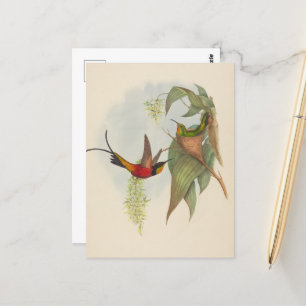 Fairy Topaz   John Gould Briefkaart