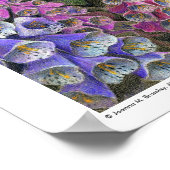 Fairy Tune Poster (Hoek)