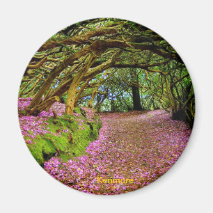 Fairy Tunnel, Kenmare Magneet