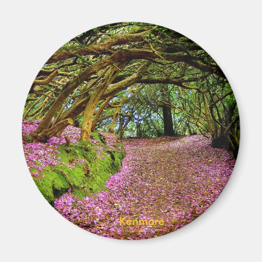 Fairy Tunnel, Kenmare Magneet (Voorkant)