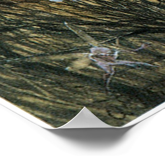 Fairy Twilight Poster (Hoek)