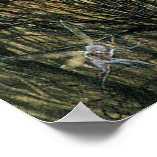 Fairy Twilight van John Anster Fitzgerald Poster (Hoek)