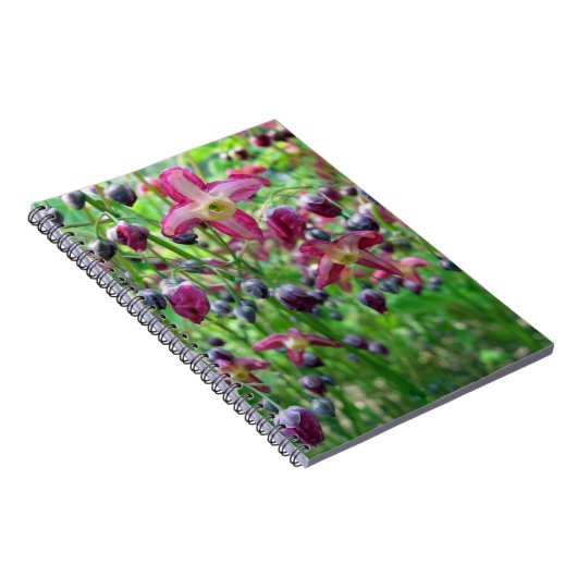  Fairy Wings (Epimedium) Spring Flower Photo Notitieboek (Rechterzijde)