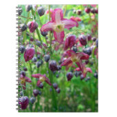  Fairy Wings (Epimedium) Spring Flower Photo Notitieboek (Voorkant)