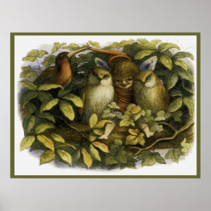 "Fairy with Owls" door Doyle - Afdruk Poster