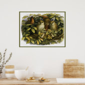 "Fairy with Owls" door Doyle - Afdruk Poster (Keuken)