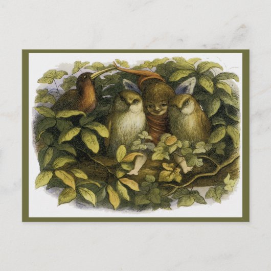 "Fairy with Owls" van Doyle Briefkaart (Voorkant)