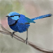 Fairy Wren canvas tas