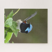 Fairy Wren Legpuzzel (Horizontaal)