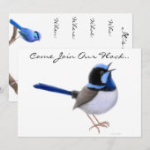 Fairy Wren Zangvogels Feest Uitnodiging (Voorkant / Achterkant)