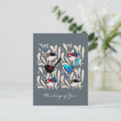 Fairy Wrens Briefkaart (Staand voorkant)