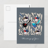 Fairy Wrens Briefkaart (Voorkant / Achterkant)