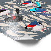 Fairy Wrens Foto Afdruk (Hoek)