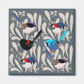 Fairy Wrens Magneet (Voorkant)