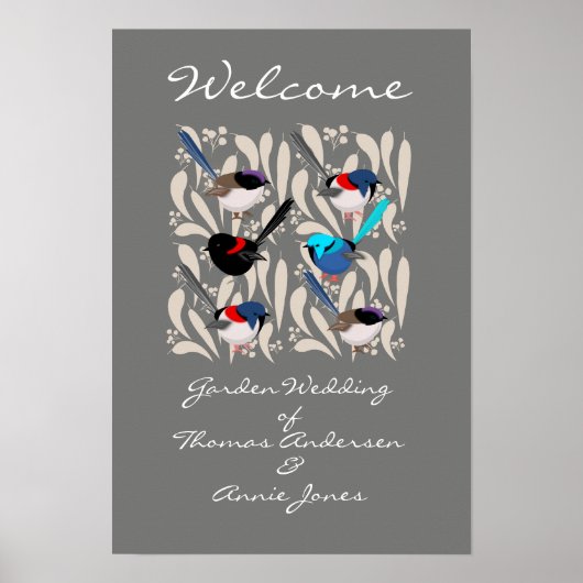 Fairy Wrens Poster (Voorkant)