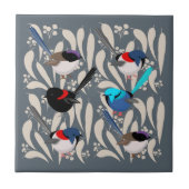 Fairy Wrens Tegeltje (Voorkant)