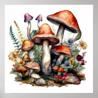 Fairycore Sprookjesachtige paddenstoelen Funghi