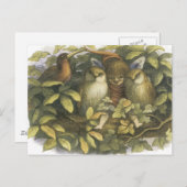 Fairyland,1870 feilloos met eigenaar briefkaart (Voorkant / Achterkant)