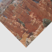 Fairyland Canyon in Bryce Canyon National Park Tissuepapier (Detail)