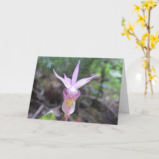 Fairyslipper Orchid Flower Kaart (Gele Bloem)