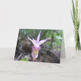 Fairyslipper Orchid Flower Kaart