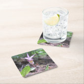 Fairyslipper Orchid Flower Kartonnen Onderzetters (Insitu)