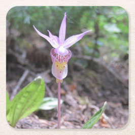 Fairyslipper Orchid Flower Kartonnen Onderzetters