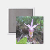 Fairyslipper Orchid Flower Magneet (Voorkant / Achterkant)