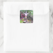 Fairyslipper Orchidee Flower Square Sticker (Tas)