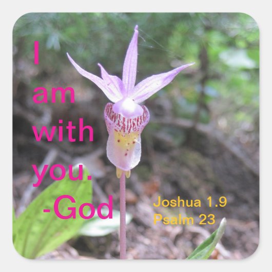 Fairyslipper Orchidee Flower Square Sticker (Voorkant)