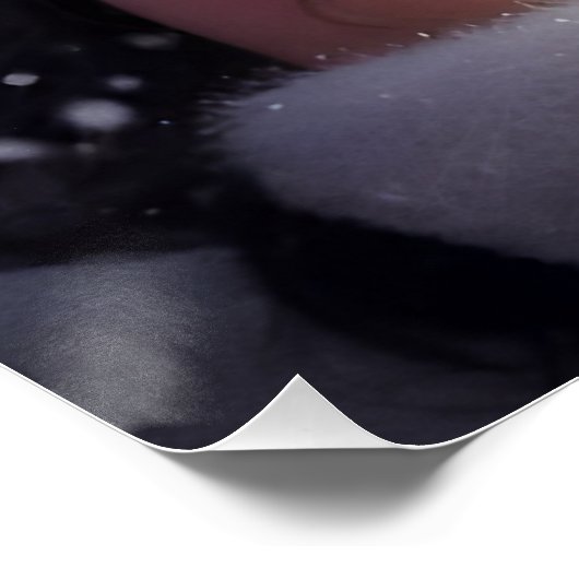 Fairytale Christmas Perfect Poster (Hoek)