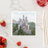 Fairytale German Castle Servet (Insitu)