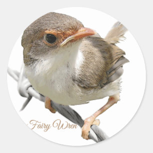 Fairywren Ronde Sticker