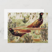 Faisans ordinaires van Maurice Pillard Verneuil Briefkaart (Voorkant / Achterkant)