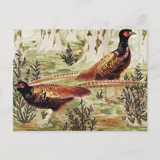 Faisans ordinaires van Maurice Pillard Verneuil Briefkaart (Voorkant)