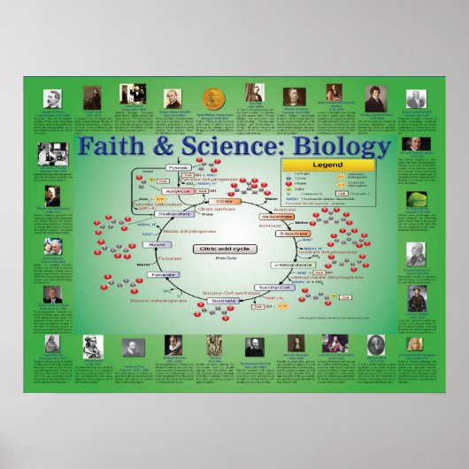 Faith and Science: Biologie (Krebs Cycle) Poster (Voorkant)