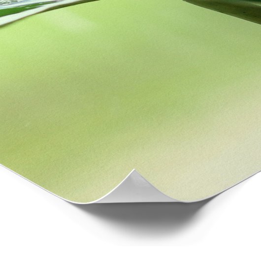 Faith Bible Verse Inspirerend Cute Green Frog Poster (Hoek)