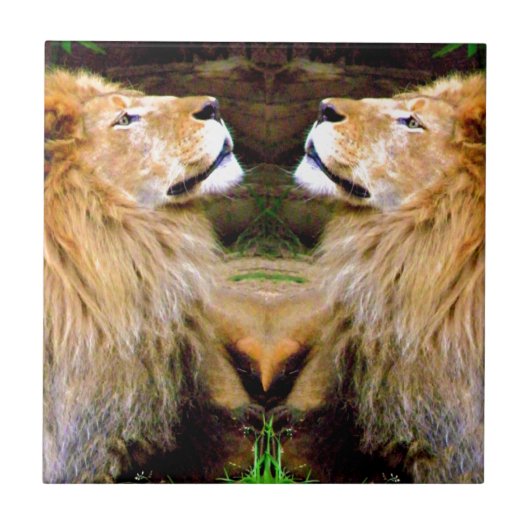 Faith & Courage_ Tegeltje (Voorkant)