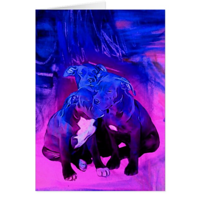 Faith Hope & Charity, Misbruik Pit Bull Dogs (Voorkant)