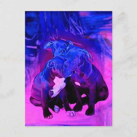 Faith Hope & Charity, Misbruik Pit Bull Dogs Briefkaart (Voorkant)