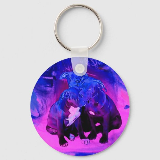 Faith Hope & Charity, Misbruik Pit Bull Dogs Sleutelhanger (Voorkant)