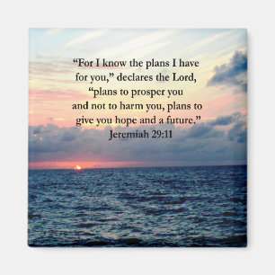 FAITH IN JEREMIAH 29:11 SUNRISE VERSE MAGNEET