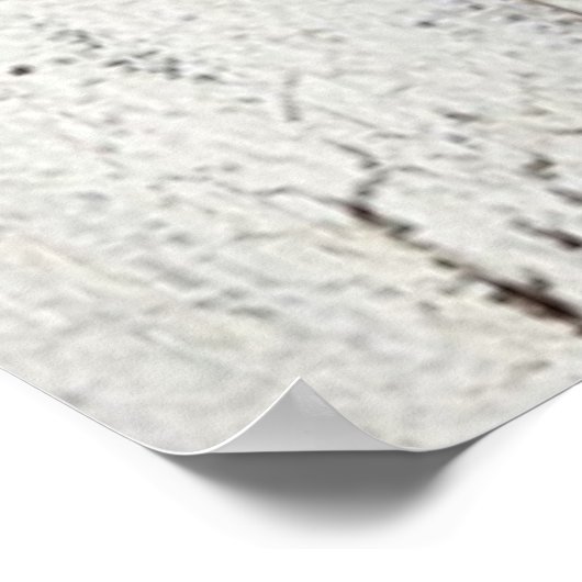 Faith Over Fear, Southwest Cross Poster (Hoek)